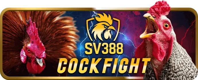 Cá cược bóng rổ ku777